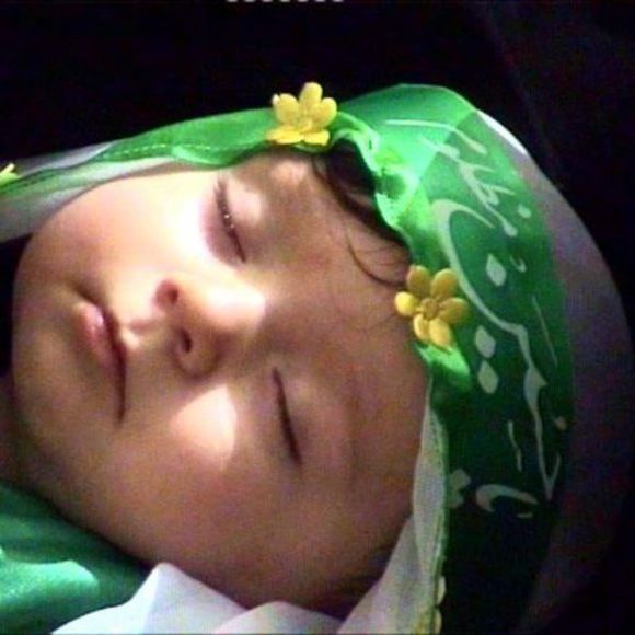 Meet your Posher, Masooma - Picture 1 of 1